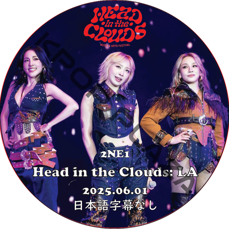 2NE1 Head in the Clouds Los Angeles 2025 (2025.06.01) 日本語字幕なし / [出演者 : 2NE1] [K-POP DVD]の画像