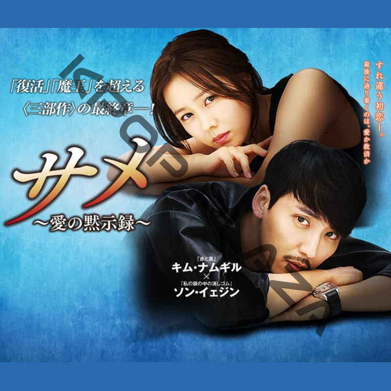 [韓国ドラマ] サメ [愛の黙示録] 全20話 (10枚セット) 日本語字幕 / [出演者 : キム・ナムギル、ソン・イェジン、ハ・ソクジン、イ・ハニ 他]の画像
