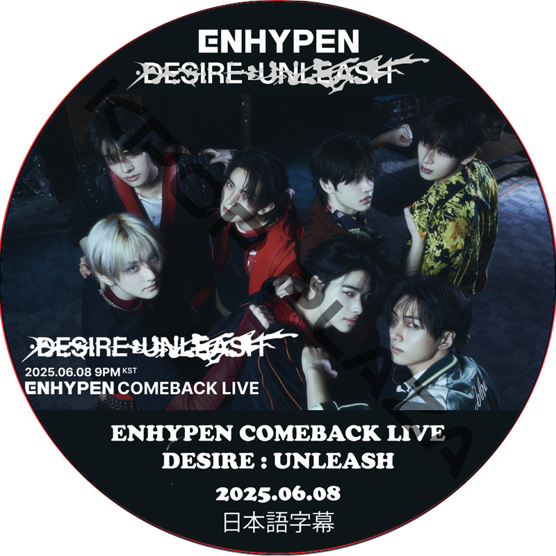 ENHYPEN ファンミーティング DVD 新品未開封 2021 ENHYPEN FANMEETING「EN-CONNECT」DVD[DVD] - ENHYPEN