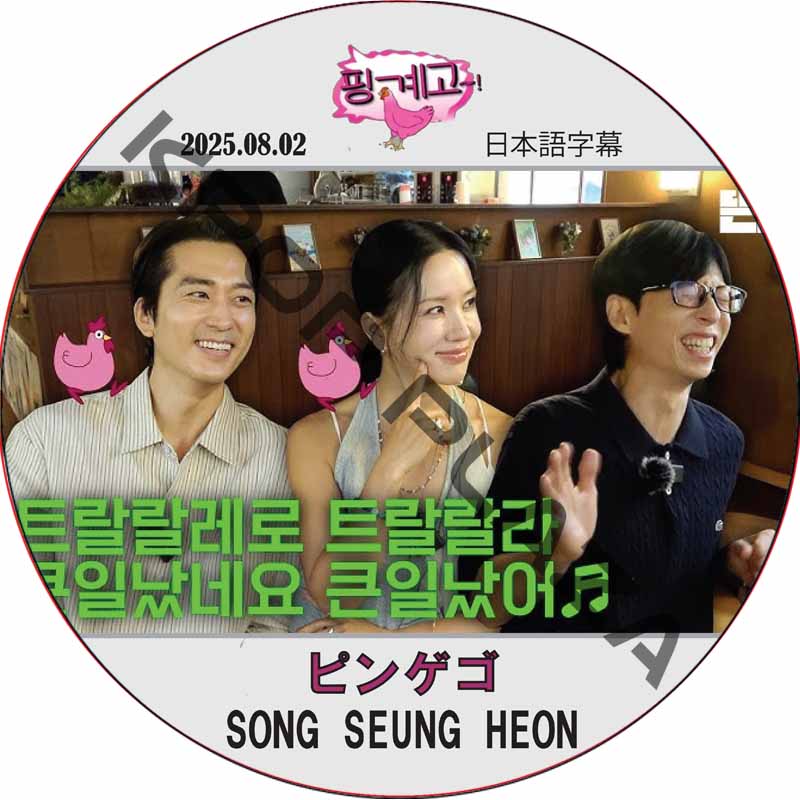 ピンゲゴ (2025.08.02) 日本語字幕 / [出演者 : ソン・スンホン] SONG SEUNG HEON [K-POP DVD]の画像