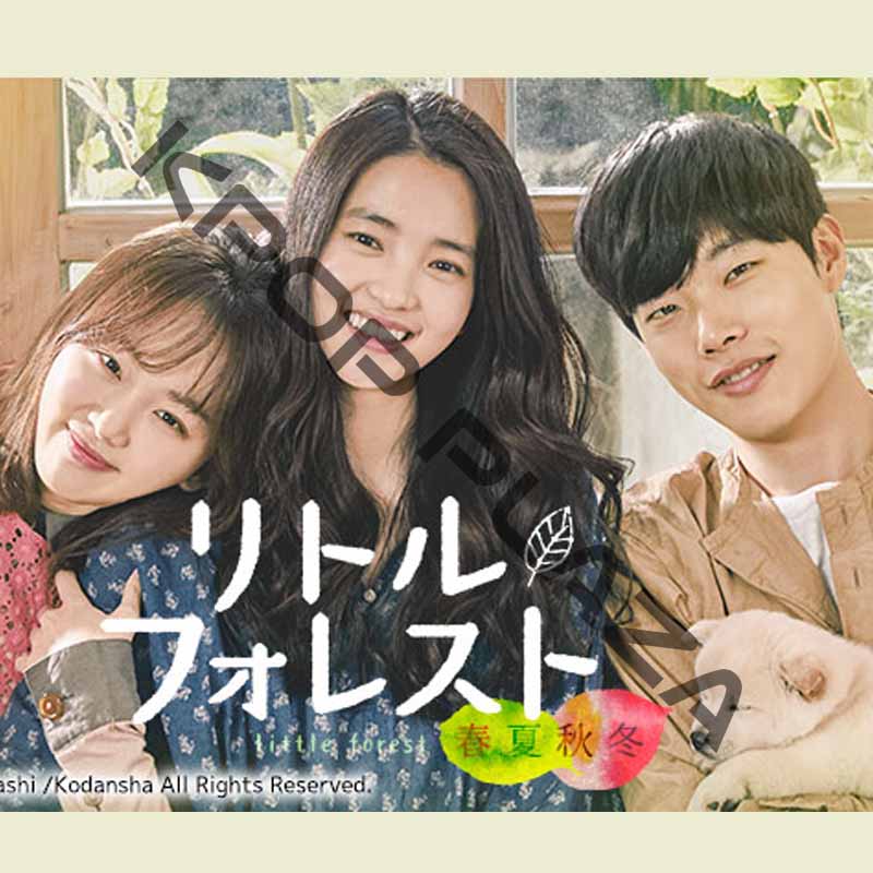 [韓国映画] リトル・フォレスト 春夏秋冬 (日本語字幕) / キム・テリ、リュ・ジュンヨル、チン・ギジュ、ムン・ソリの画像
