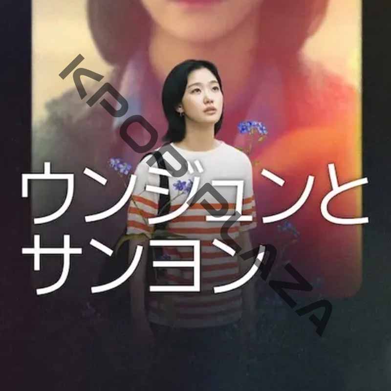 [韓国ドラマ] ウンジュンとサンヨン 全15話 (8枚セット) 日本語字幕 / 出演 [キム・ゴウン、パク・チヒョン、キム・ゴンウ] [K-POP DVD]の画像