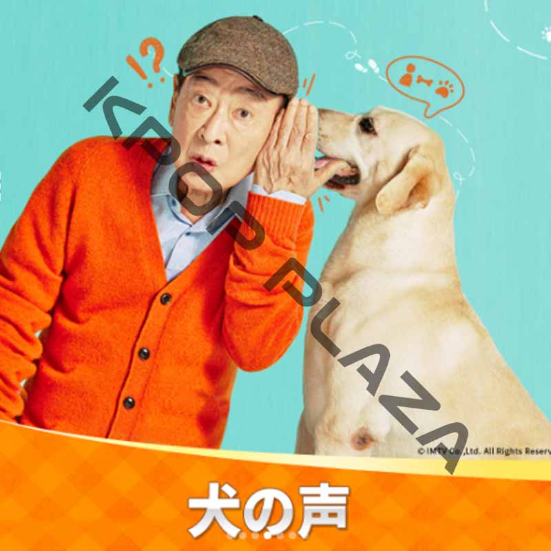 [韓国ドラマ] 犬の声 全12話 (6枚セット) 日本語字幕 / 出演 [イ・スンジェ、キム・ヨンゴン、イェ・スジョン、イム・チェム、ソン・オクスク] [K-POP DVD]の画像