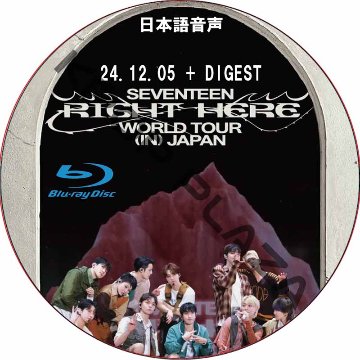 [Blu-ray] SEVENTEEN [RIGHT HERE] WORLD TOUR IN JAPAN (24.12.05 + DIGEST) 日本語音声 / SVT DVD セブチの画像