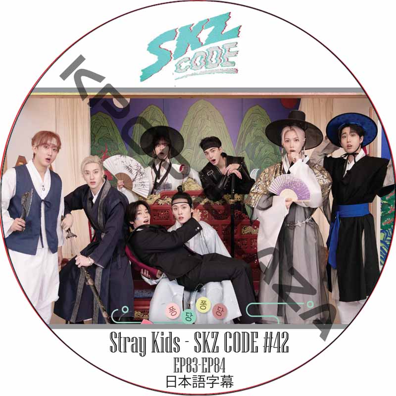 STRAY KIDS SKZ CODE #42 (EP83-EP84) 日本語字幕 / ストレイキッズ [K-POP DVD]の画像