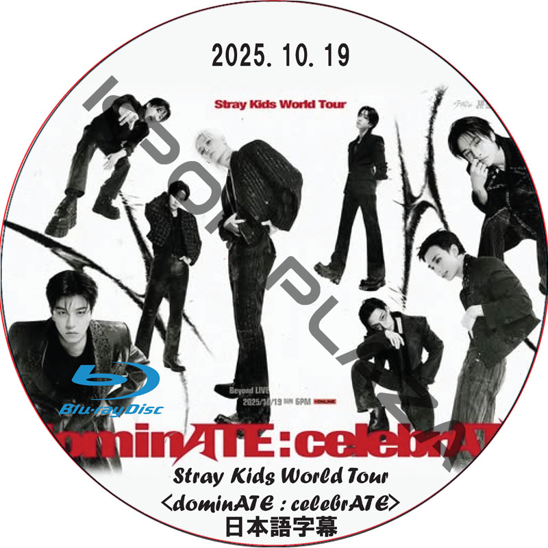 straykids スキズ District 9 DVD 未開封 スキズ World Tour District 9:Unlock Blu-ray