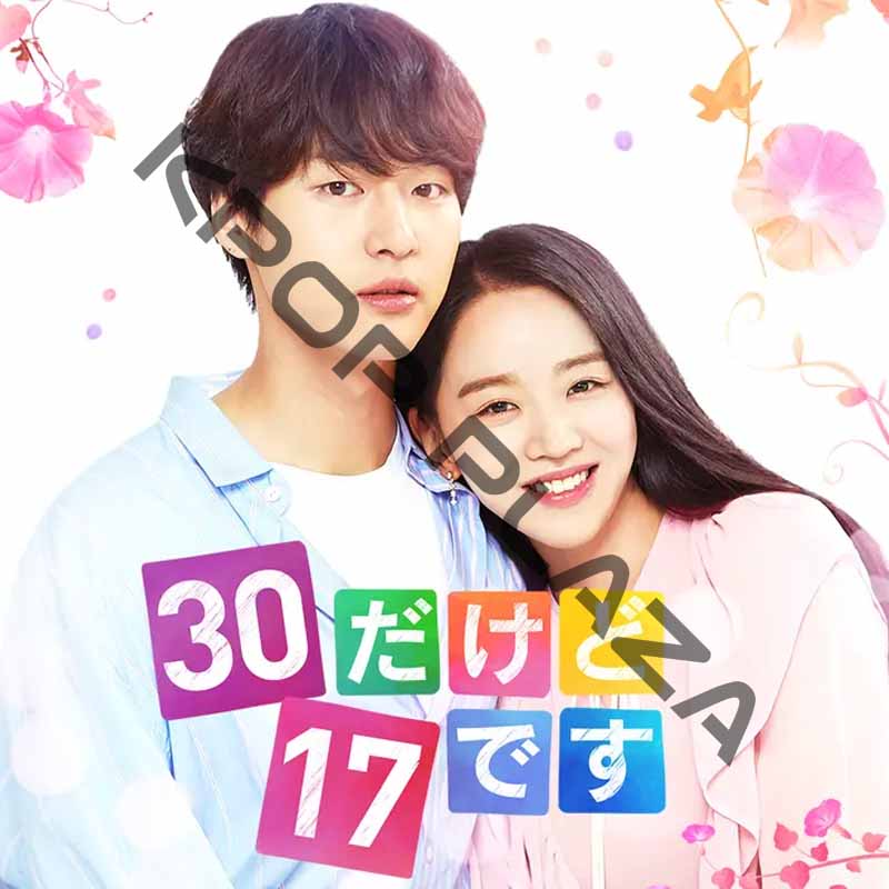 [韓国ドラマ] 30だけど17です 全24話 (8枚セット) 日本語字幕 / 出演 [ヤン・セジョン, シン・ヘソン, アン・ヒョソプ ほか] [K-POP DVD]の画像