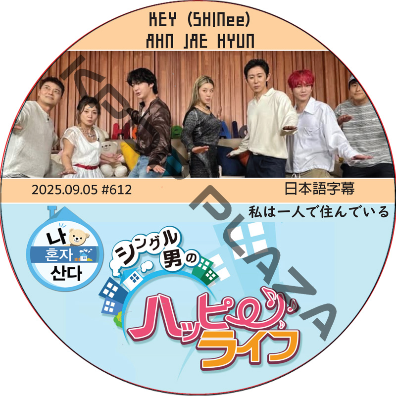 kpop plaza - KPOP DVD 専門店 - 新大久保 - kpop dvd