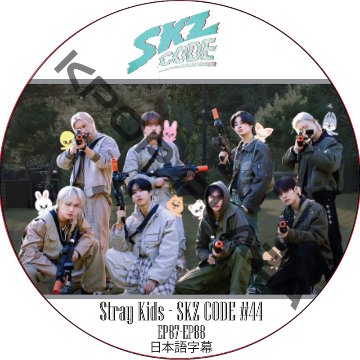 STRAY KIDS SKZ CODE #44 (EP87-EP88) 日本語字幕 / ストレイキッズ [K-POP DVD]の画像