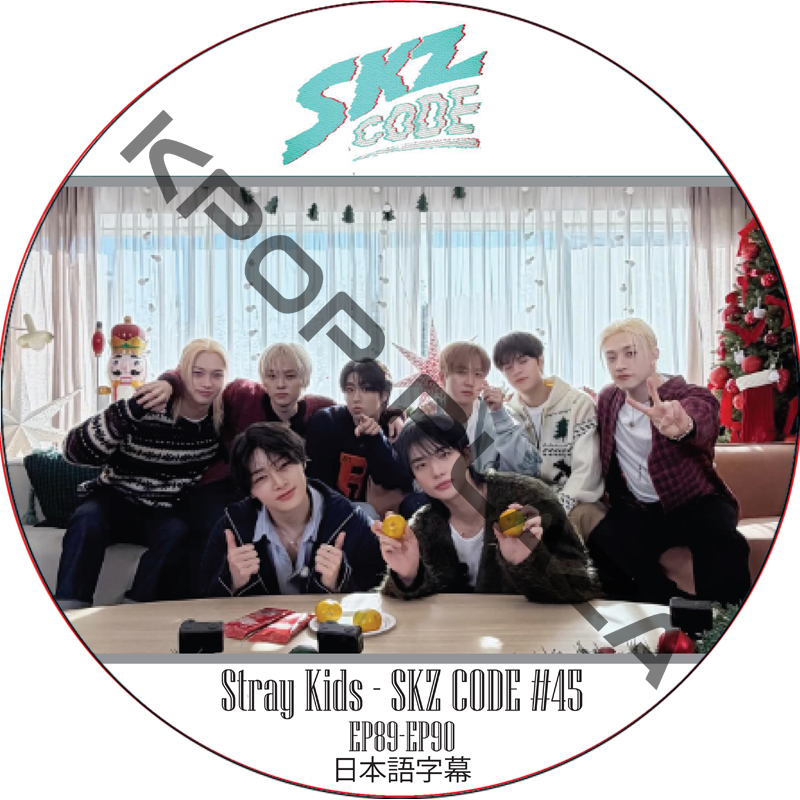 STRAY KIDS SKZ CODE #45 (EP89-EP90) 日本語字幕 / ストレイキッズ [K-POP DVD]の画像