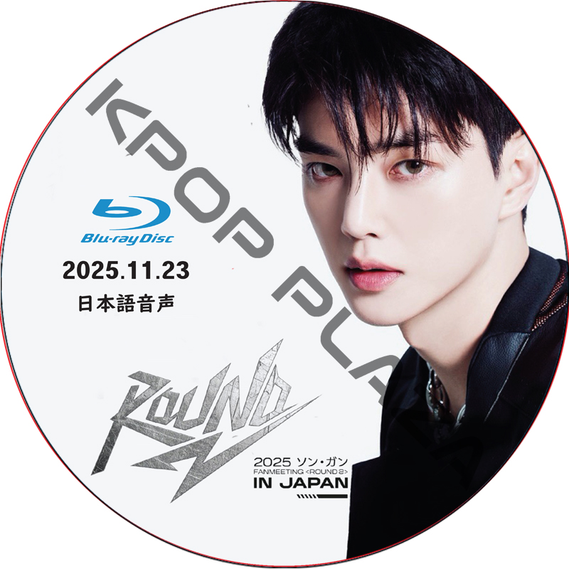 [Blu-ray] 2025 ソン・ガン FANMEETING＜ROUND 2＞IN JAPAN (2025.11.23) 日本語音声 / ソン・ガン song kang dvdの画像