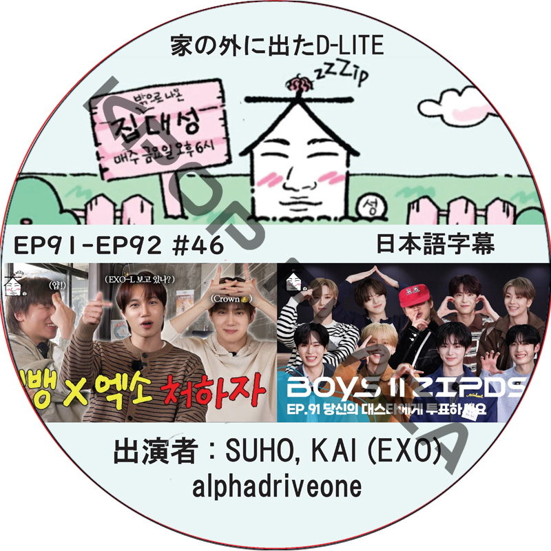家の外に出たD-LITE (EP91-EP92 #46) 日本語字幕 / [レギュラー出演 : デソン (BIGBANG)][出演者 : alphadriveone, スホ, カイ (EXO)]の画像
