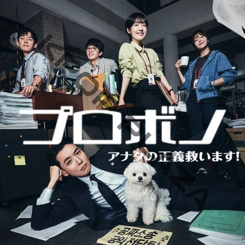 [韓国ドラマ] プロボノ [アナタの正義救います!] DVD版 全12話 (6枚セット) 日本語字幕 / 出演 [チョン・ギョンホ、ソ・ジュヨン、イ・ユヨン 他] [K-POP DVD]の画像