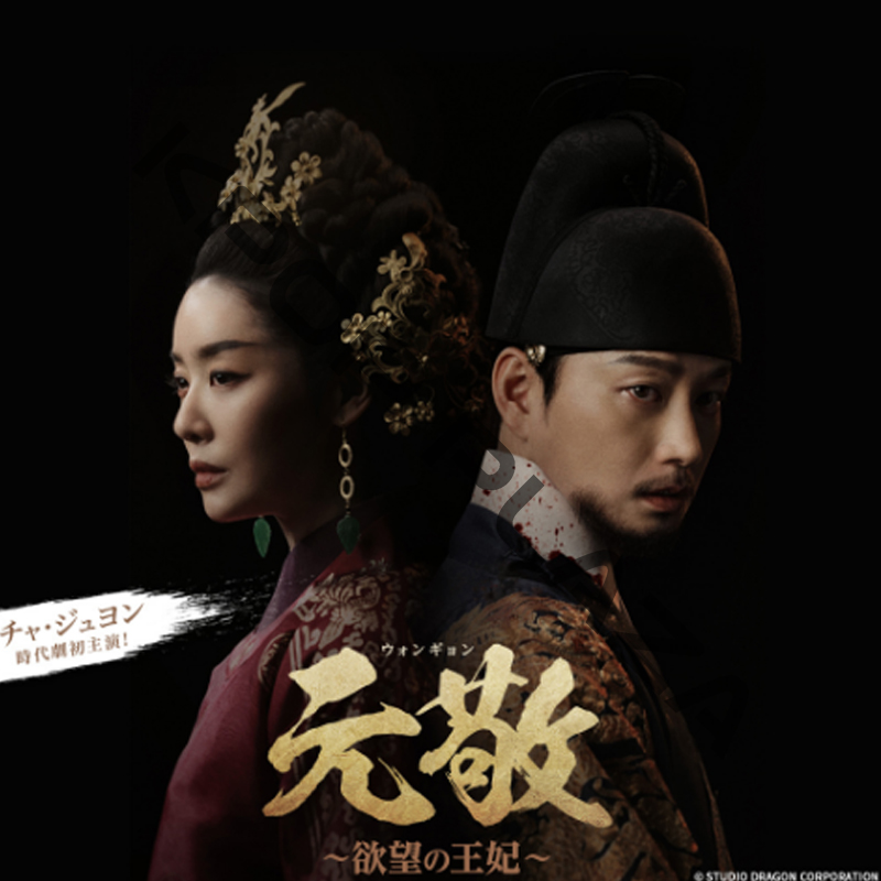 [韓国ドラマ] 元敬 [欲望の王妃] DVD版 全12話 (6枚セット) 日本語字幕 / 出演 [チャ・ジュヨン、イ・ヒョヌク、イ・ソンミン、イ・イダム、イ・ジア 他] [K-POP DVD]の画像