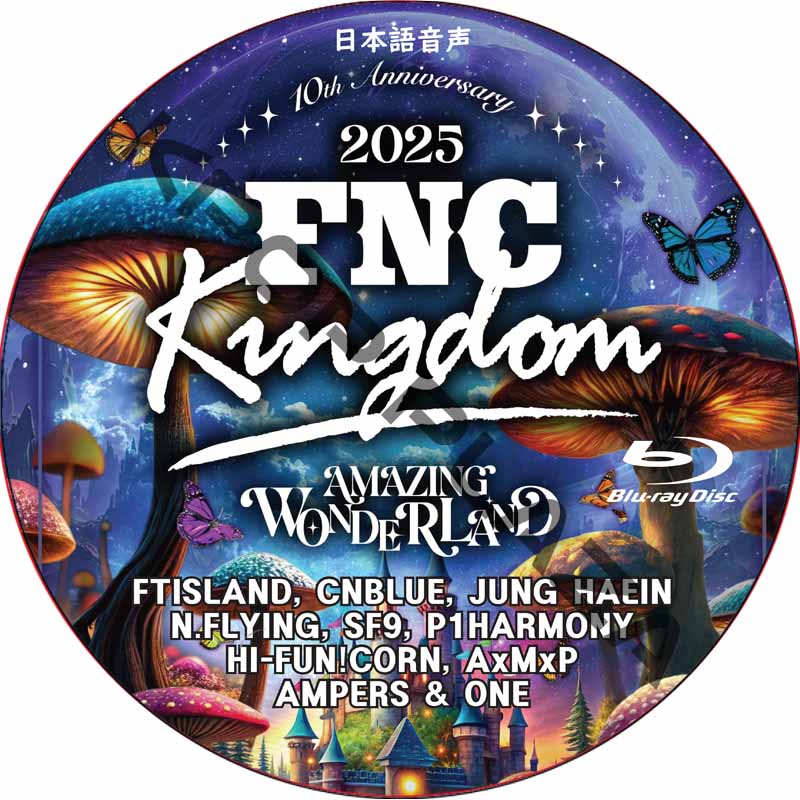 [Blu-ray] 2025 FNC KINGDOM 10TH ANNIVERSARY -AMAZING WONDERLAND- (2025.12.14) 日本語音声の画像