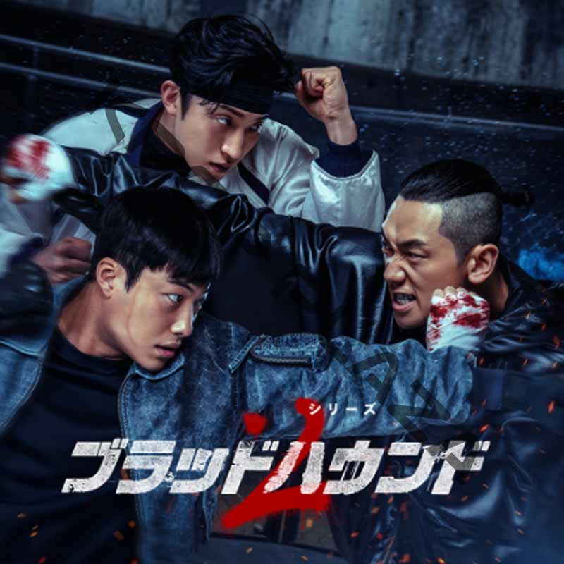 [韓国ドラマ] ブラッドハウンド シーズン2 DVD版 全7話 (4枚セット) 日本語字幕 / 出演 [ウ・ドファン、イ・サンイ、ホ・ジュノ 他] [K-POP DVD]の画像
