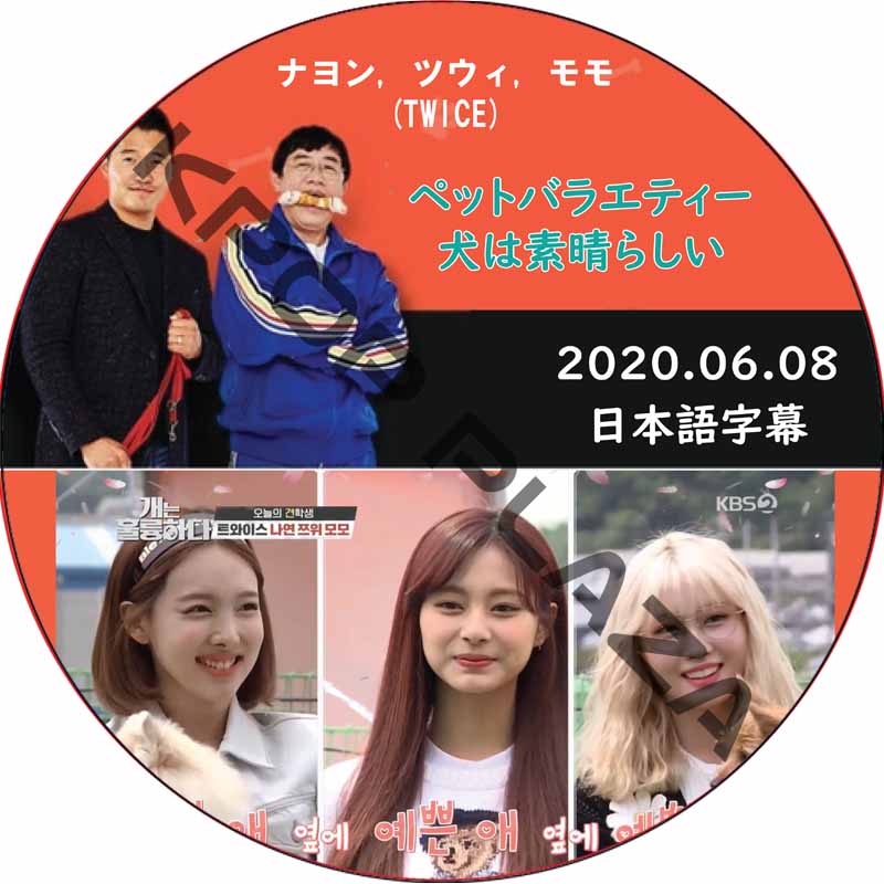 犬は素晴らしい (2020.06.08) 日本語字幕 / [出演者 : ナヨン, ツウィ, モモ (TWICE)] トゥワイス [K-POP DVD]の画像
