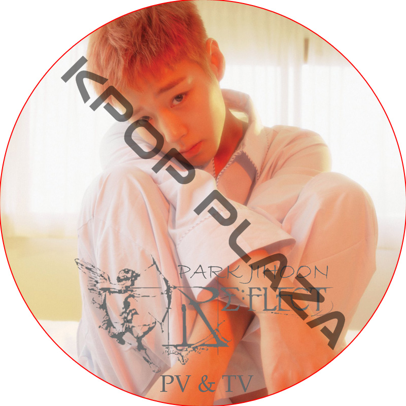 PARK JIHOON PV & TV COLLECTION (RE FLECT) / パク・ジフン [K-POP DVD]の画像