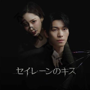 [韓国ドラマ] セイレーンのキス DVD版 全12話 (6枚セット) 日本語字幕 / 出演 [パク・ミニョン、ウィ・ハジュン 他] [K-POP DVD]の画像