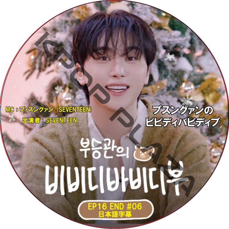 ブスングァンのビビディバビディブ (EP16 END #06) 日本語字幕 / [MC : ブ・スングァン (SEVENTEEN)] [出演者 : SEVENTEEN] [K-POP DVD]の画像