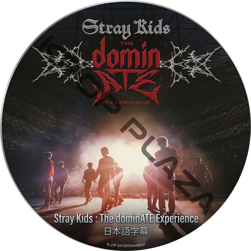 Stray Kids : The dominATE Experience 映画 (日本語字幕) / SKZ DVD ストレイキッズ スキズ [K-POP DVD]の画像