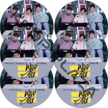 Over 2PM WILD SIX (EP01-EP12 + Behind #6枚セット) 日本語字幕 / ツーピーエム [K-POP DVD]の画像