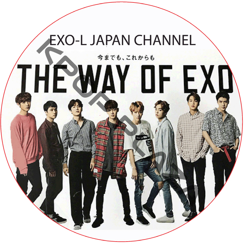 EXO-L JAPAN FANMEETING CHANNEL (2016.05.01) / エクソ [K-POP DVD]の画像