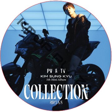 INFINITE KIM SUNG KYU PV & TV COLLECTION (COLLECTION) / インフィニット INFINITE DVD ソンギュ [K-POP DVD]の画像