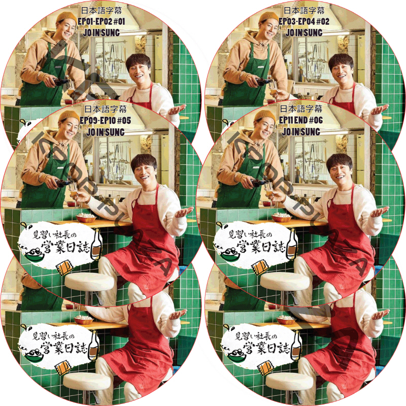 チョインソン 見習い社長の営業日誌 (EP01-EP11 完結 #6枚セット) 日本語字幕 / JO IN SUNG チョ・インソン [K-POP DVD]の画像