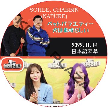 犬は素晴らしい (2022.11.14 #151) 日本語字幕 / [出演者 : SOHEE, CHAEBIN (NATURE)] ネイチャー NATURE DVD [K-POP DVD]の画像