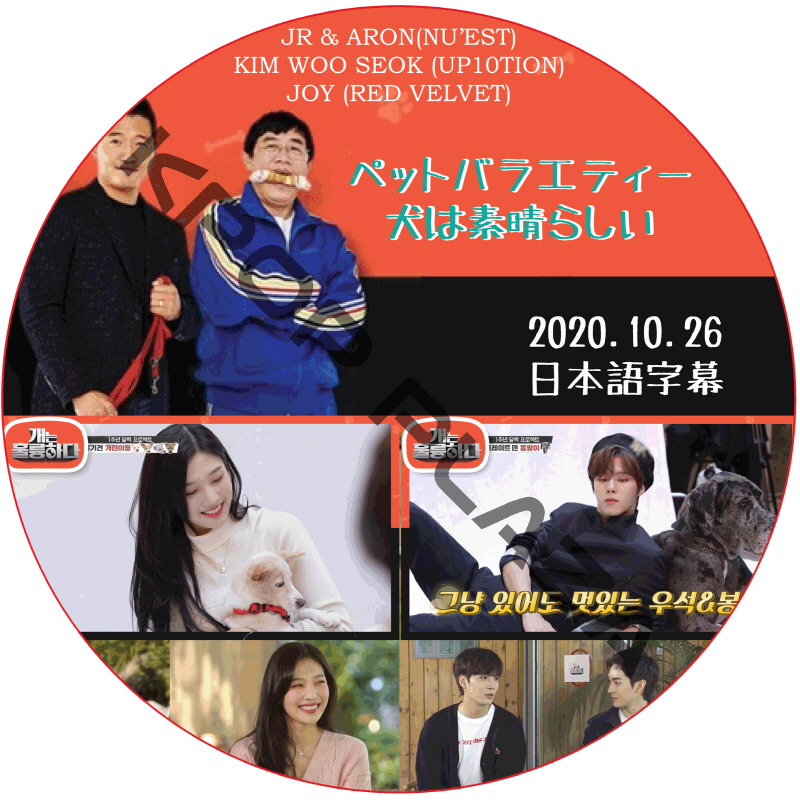 NU'EST ペットバラエティ〜犬は素晴らしい (2020.10.26) 日本語字幕  [K-POP DVD]の画像