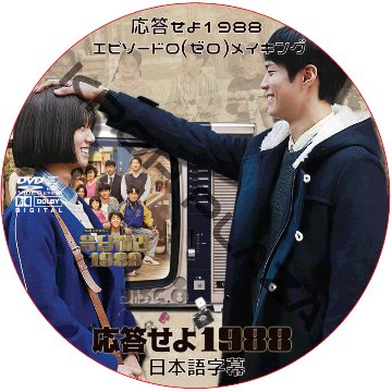 パクボゴム 応答せよ1988 メイキング 日本語字幕 / PARK BO GUM [K-POP DVD]の画像