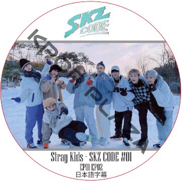 STRAY KIDS SKZ CODE #01 (EP01-EP02) 日本語字幕 / ストレイキッズ [K-POP DVD]の画像