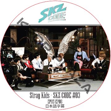 STRAY KIDS SKZ CODE #03 (EP05-EP06) 日本語字幕 / ストレイキッズ [K-POP DVD]の画像