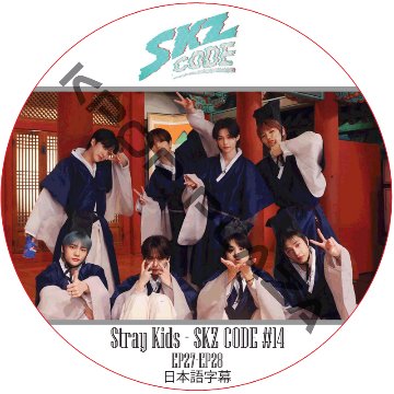 STRAY KIDS SKZ CODE #14 (EP27-EP28) 日本語字幕 / ストレイキッズ [K-POP DVD]の画像