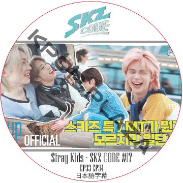 STRAY KIDS SKZ CODE #17 (EP33-EP34) 日本語字幕 / ストレイキッズ [K-POP DVD]の画像