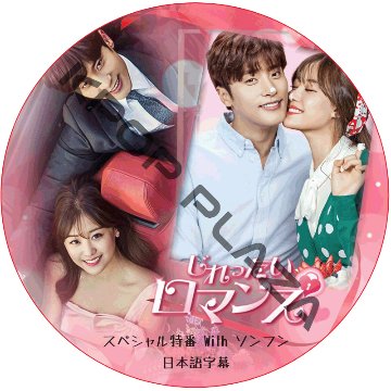 ソンフン じれったいロマンス スペシャル特番 (日本語字幕) / SUNG HOON [K-POP DVD]の画像
