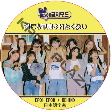 WJSN 誰にも邪魔されたくない (EP01-EP08 + BEHIND) 日本語字幕 / WJSN DVD 宇宙少女 [K-POP DVD]の画像