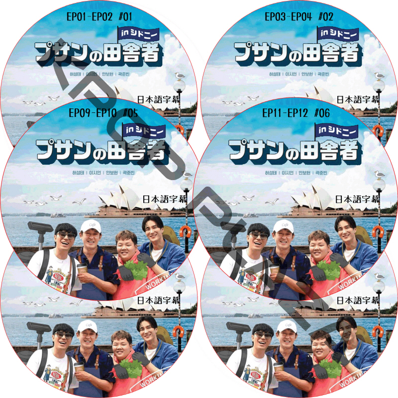 プサンの田舎者 in シドニー (EP01-EP12 完結 #6枚セット) 日本語字幕 / [出演者 : ホ・ソンテ, アン・ボヒョン, イ･シオン 他] [K-POP DVD]の画像