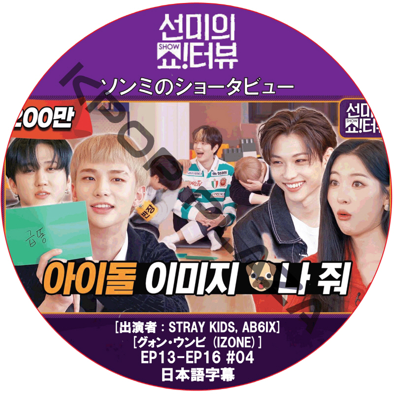 ソンミのショータビュー (EP13-EP16 #04)  [K-POP DVD]の画像