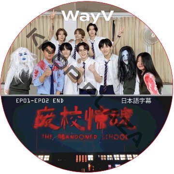 kpop plaza - KPOP DVD 専門店 - 新大久保 - kpop dvd