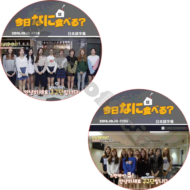 GUGUDAN 今日なに食べる (2枚セット) 日本語字幕 / ググダン [K-POP DVD]の画像