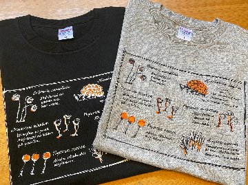 変形菌Tシャツの画像