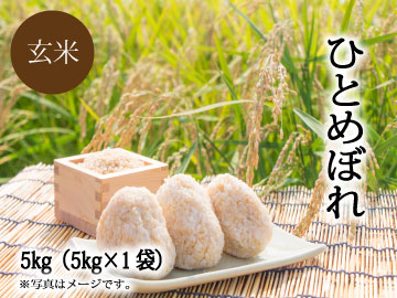 ひとめぼれ【玄米　5kg】の画像