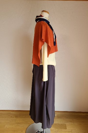 ベストの画像