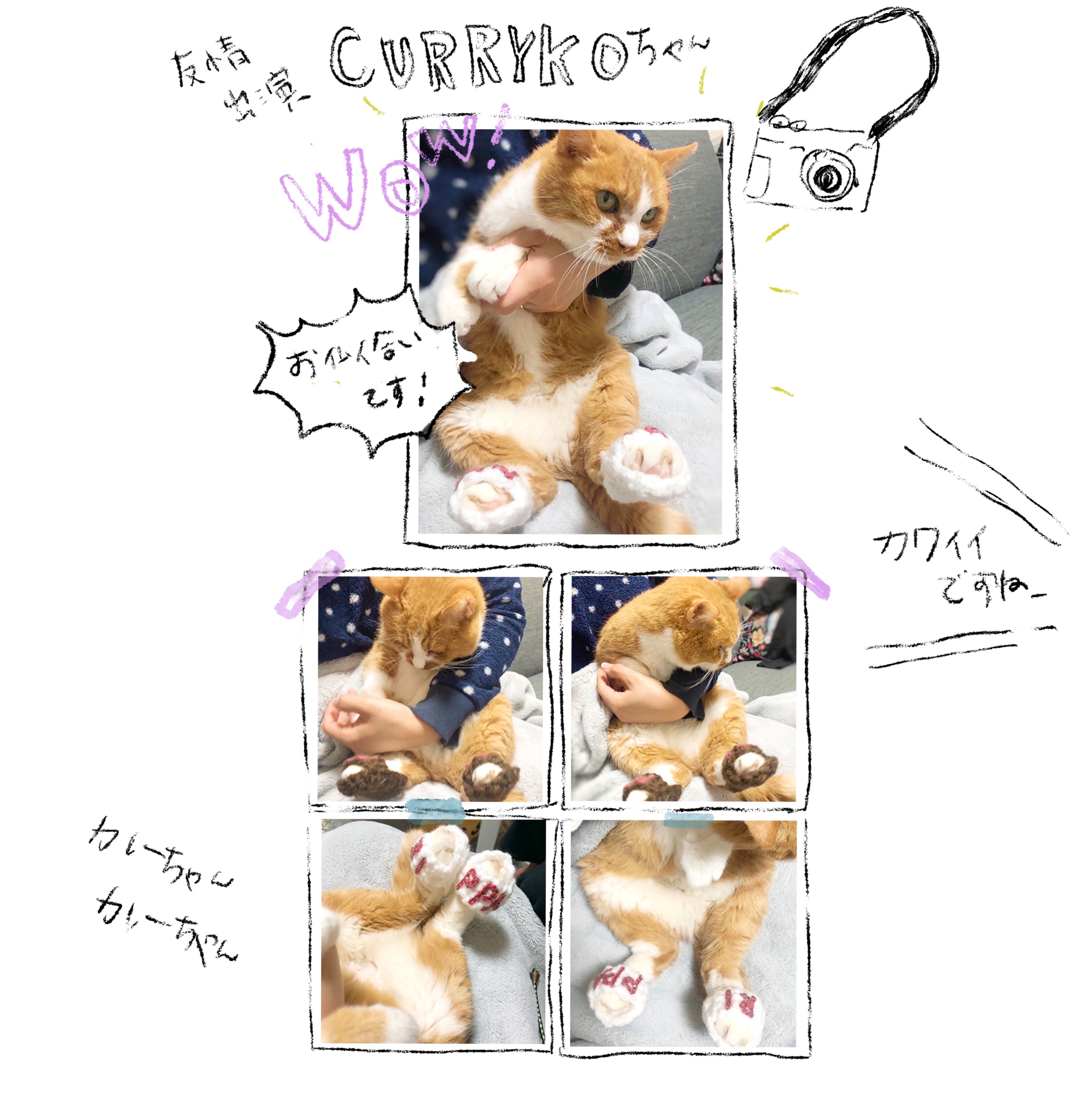 【再販】リッパスリッパ CAT TOY　by ねえね画像