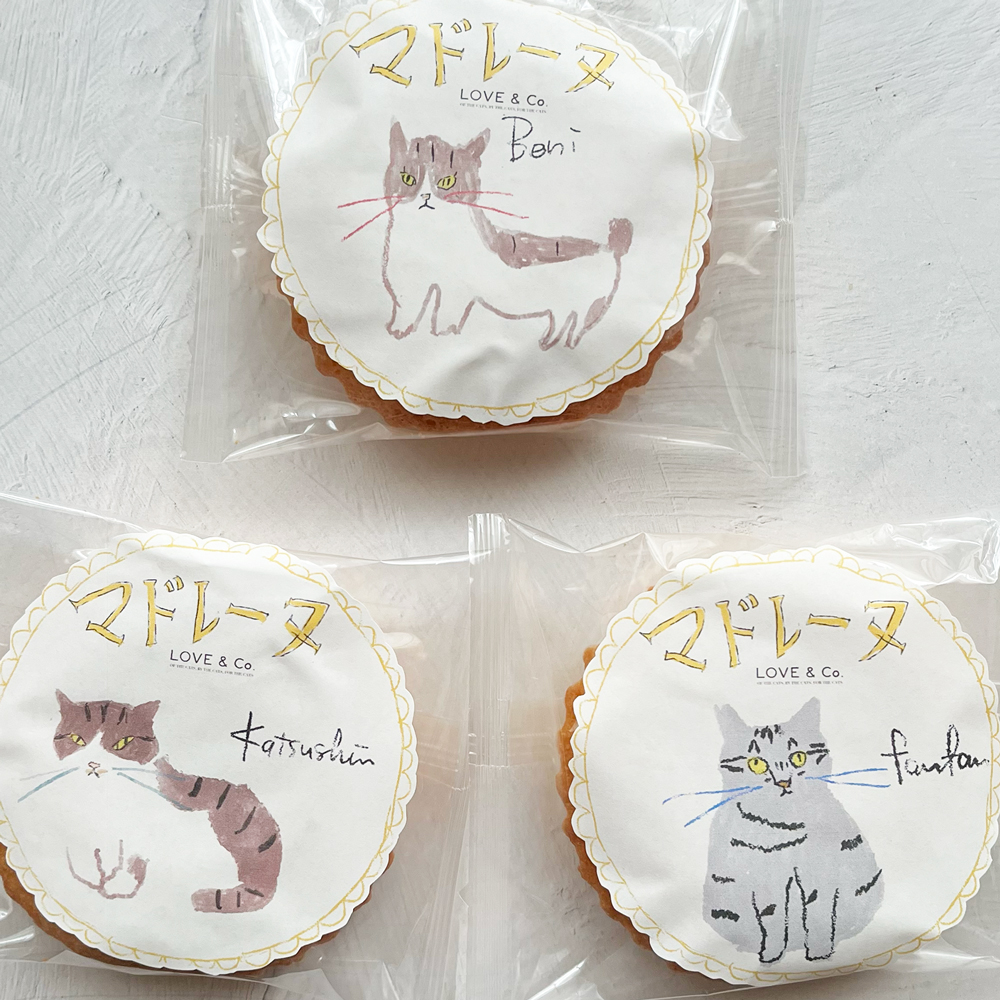【動物愛護週間特集】ラブコCATS ALL STAR マドレーヌとコーヒーのギフト画像