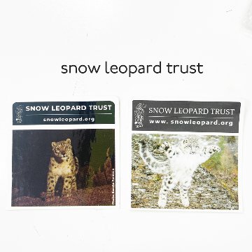 【SELECT】SNOW LEOPARD TRUST ユキヒョウ保護プロジェクトのハンドメイド SMALL CAT TOY 画像