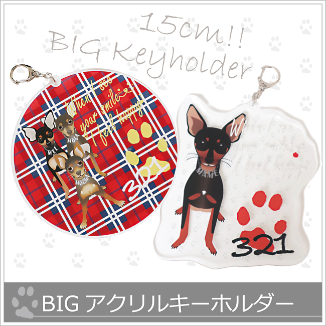 15cmBIGアクリルキーホルダー*定型もフリーにカットも可の画像