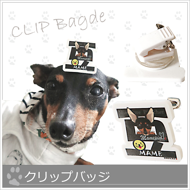 *クリップバッジ*愛犬の名前バッジの画像